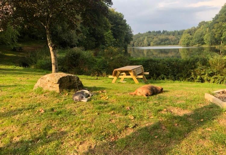 La Forge B&B Perret  Εξωτερικό φωτογραφία